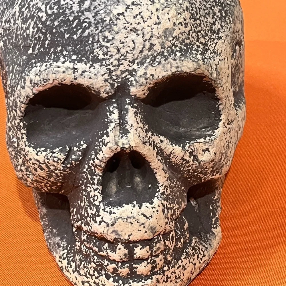 6/$25 Gray and White Skull Decor Set - Picture 8 of 15